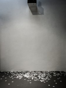 Exhibition in Can Manyé