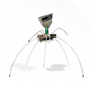 DSCF7901 - export (1)